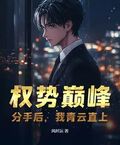 權勢巔峰：分手后，我青雲直上