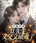 小妻不乖，江先生又又又破戒了